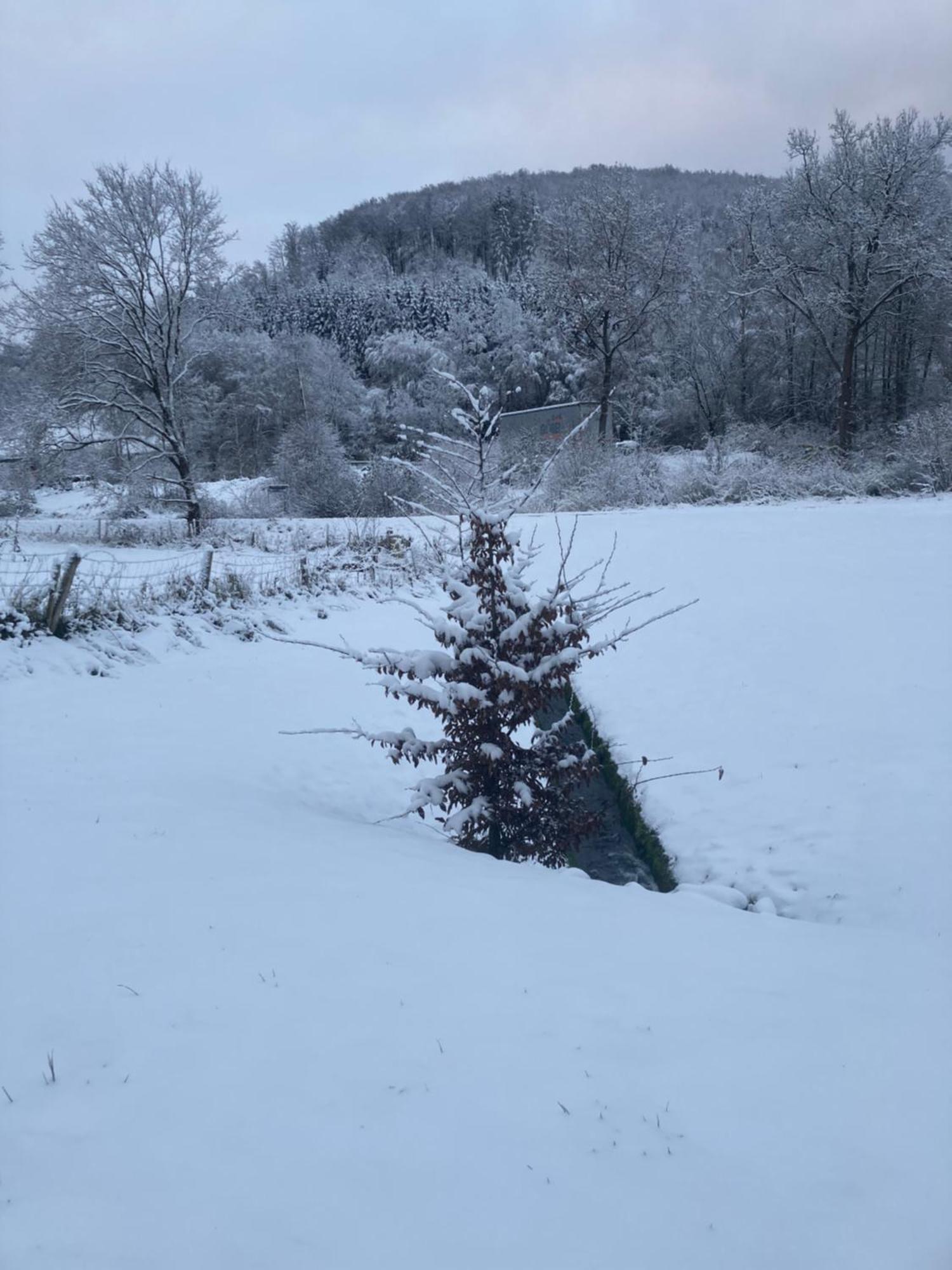 Apartmán Nest Heiminghausen Schmallenberg Exteriér fotografie