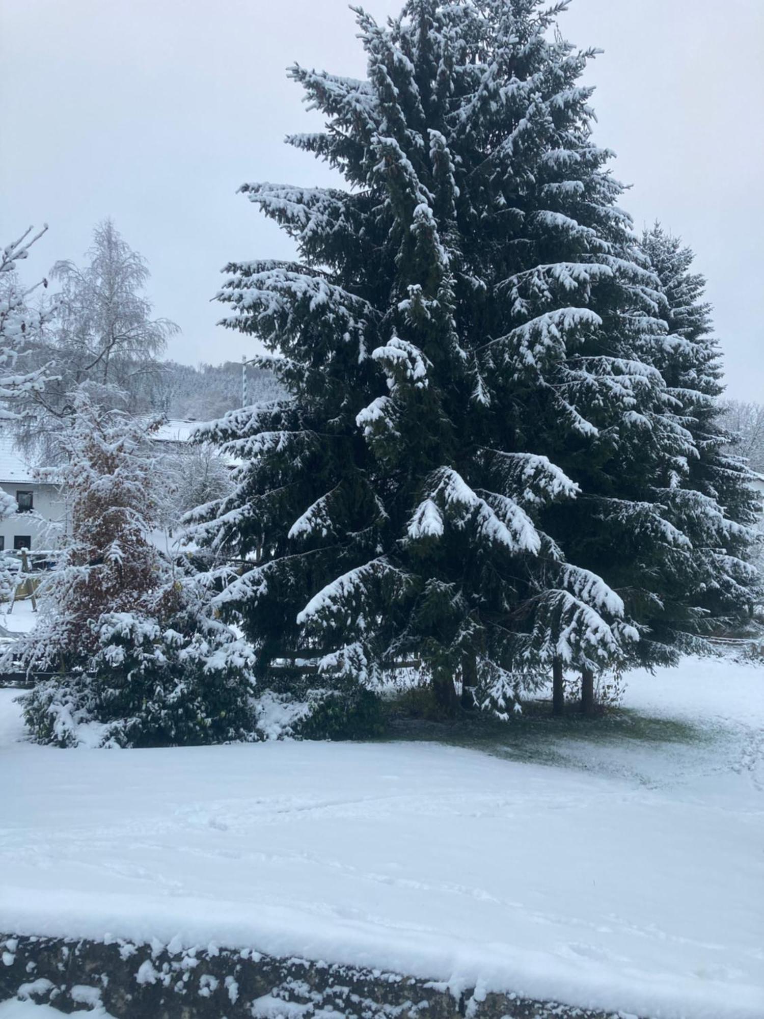 Apartmán Nest Heiminghausen Schmallenberg Exteriér fotografie